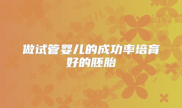 做试管婴儿的成功率培育好的胚胎