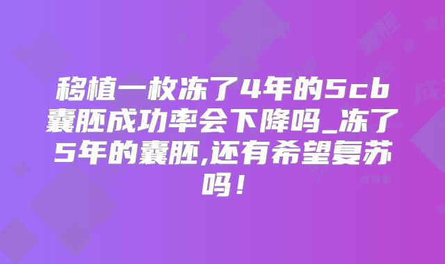 移植一枚冻了4年的5cb囊胚成功率会下降吗_冻了5年的囊胚,还有希望复苏吗！