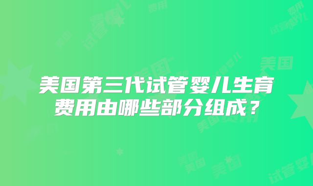 美国第三代试管婴儿生育费用由哪些部分组成?