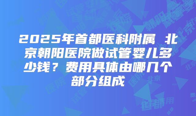 2025年首都医科附属 北京朝阳医院做试管婴儿多少钱?费用具体由哪几个部分组成