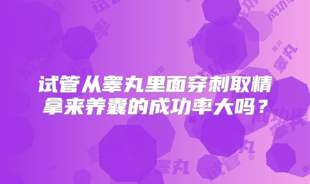 试管从睾丸里面穿刺取精拿来养囊的成功率大吗?
