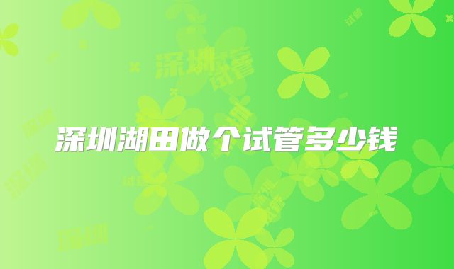 深圳湖田做个试管多少钱