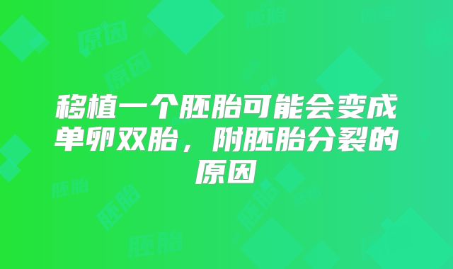 移植一个胚胎可能会变成单卵双胎，附胚胎分裂的原因