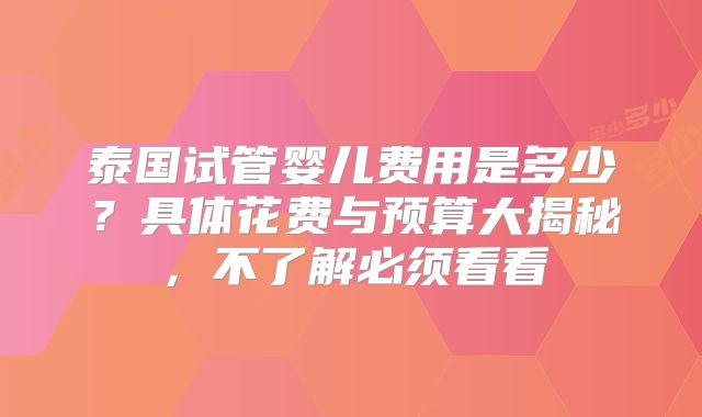 泰国试管婴儿费用是多少？具体花费与预算大揭秘，不了解必须看看