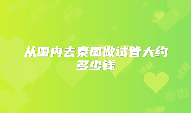 从国内去泰国做试管大约多少钱