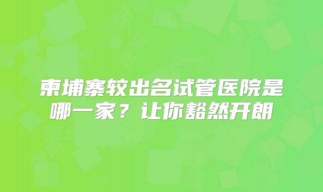 柬埔寨较出名试管医院是哪一家？让你豁然开朗