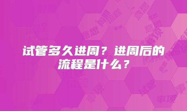 试管多久进周？进周后的流程是什么？