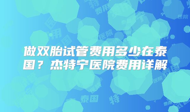 做双胎试管费用多少在泰国？杰特宁医院费用详解