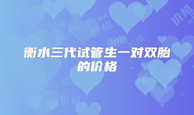 衡水三代试管生一对双胎的价格