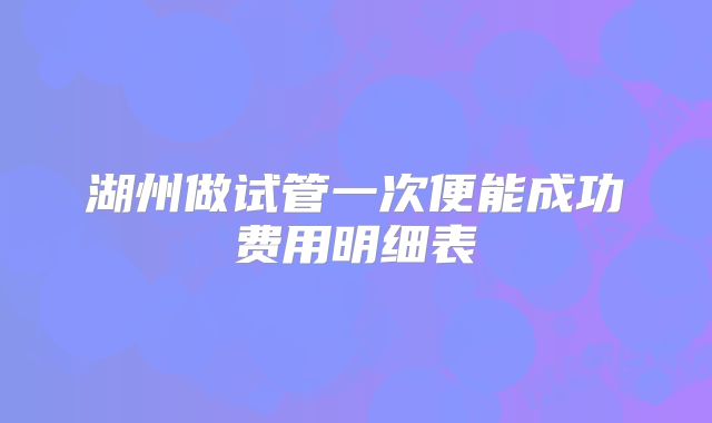 湖州做试管一次便能成功费用明细表