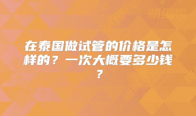 在泰国做试管的价格是怎样的？一次大概要多少钱？