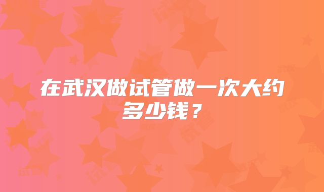 在武汉做试管做一次大约多少钱？