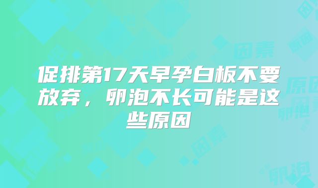 促排第17天早孕白板不要放弃，卵泡不长可能是这些原因