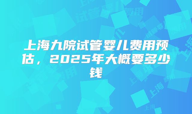 上海九院试管婴儿费用预估，2025年大概要多少钱