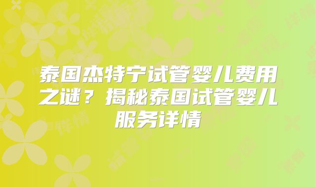 泰国杰特宁试管婴儿费用之谜?揭秘泰国试管婴儿服务详情