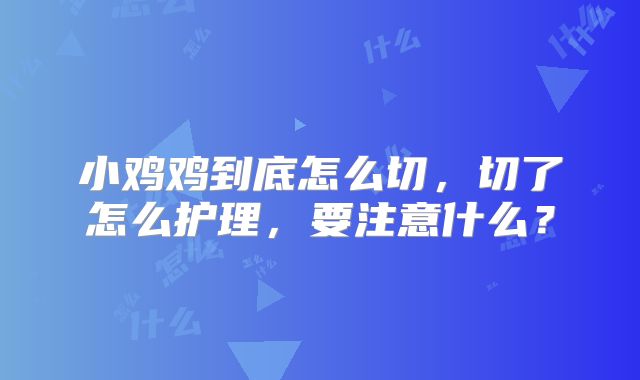 小鸡鸡到底怎么切，切了怎么护理，要注意什么？