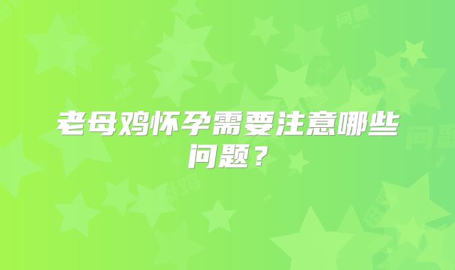 老母鸡怀孕需要注意哪些问题?