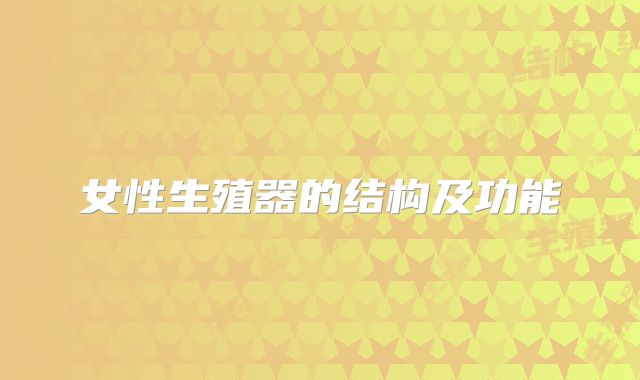 女性生殖器的结构及功能