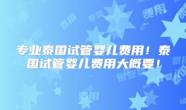 专业泰国试管婴儿费用!泰国试管婴儿费用大概要!