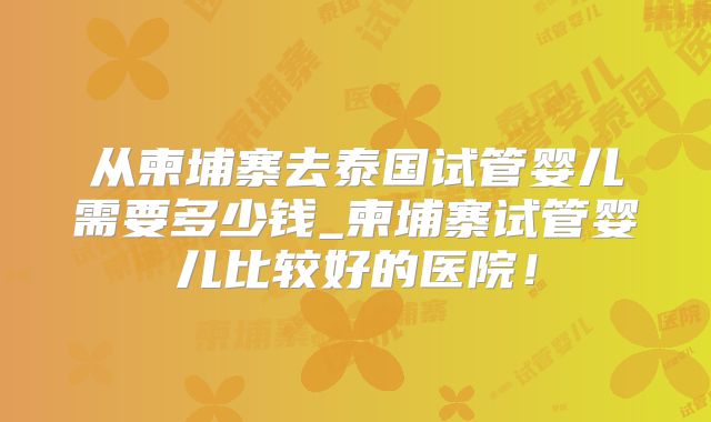 从柬埔寨去泰国试管婴儿需要多少钱_柬埔寨试管婴儿比较好的医院!