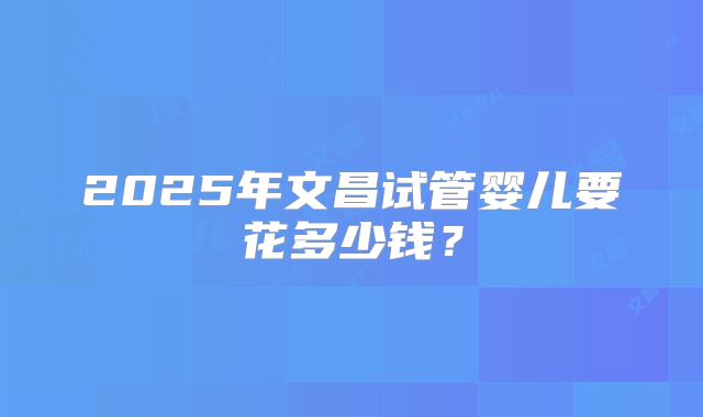 2025年文昌试管婴儿要花多少钱？