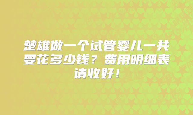 楚雄做一个试管婴儿一共要花多少钱？费用明细表请收好！