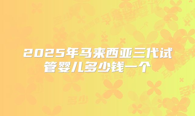 2025年马来西亚三代试管婴儿多少钱一个