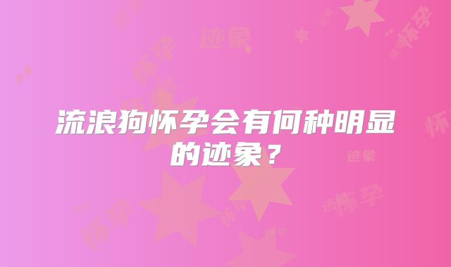 流浪狗怀孕会有何种明显的迹象？