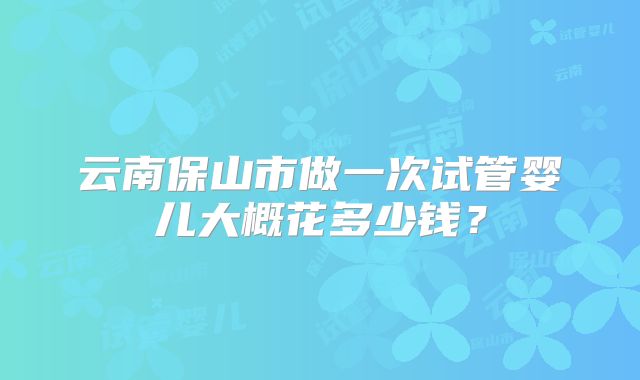 云南保山市做一次试管婴儿大概花多少钱？