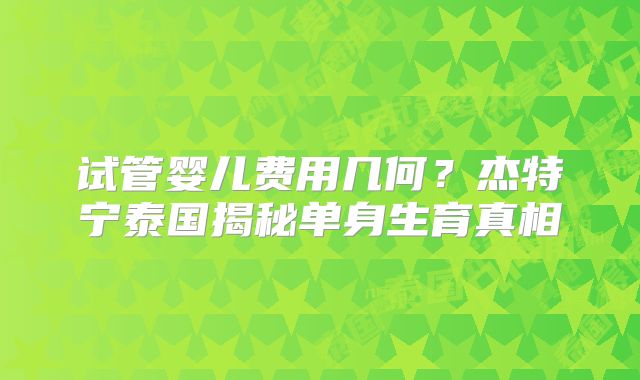 试管婴儿费用几何？杰特宁泰国揭秘单身生育真相