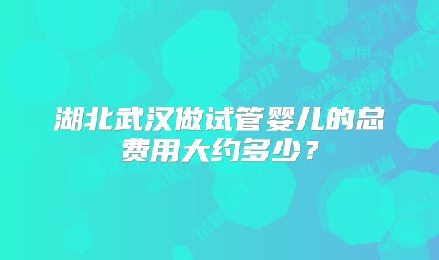 湖北武汉做试管婴儿的总费用大约多少？