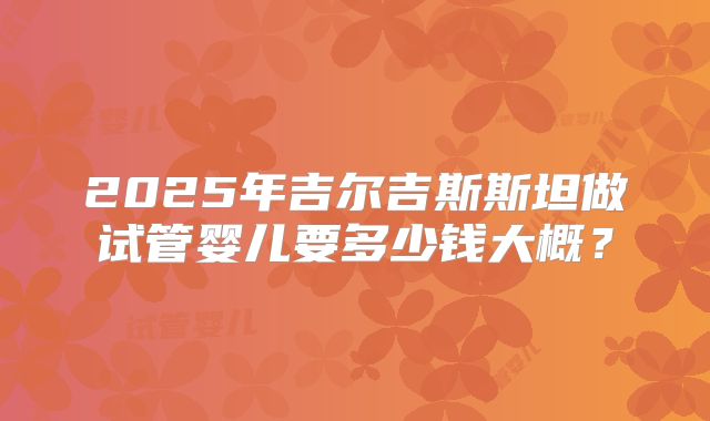 2025年吉尔吉斯斯坦做试管婴儿要多少钱大概?