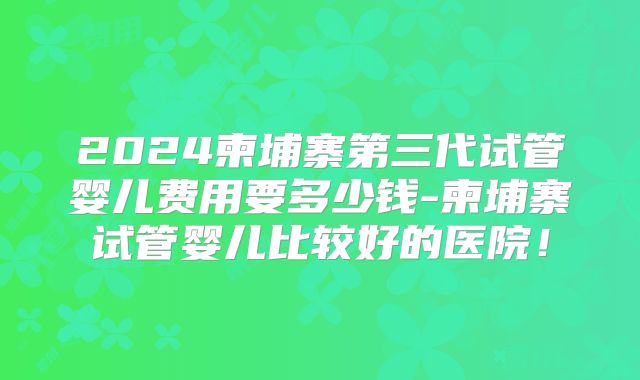 2024柬埔寨第三代试管婴儿费用要多少钱-柬埔寨试管婴儿比较好的医院！