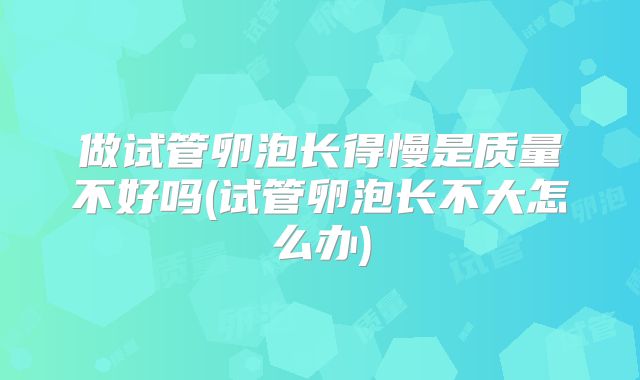 做试管卵泡长得慢是质量不好吗(试管卵泡长不大怎么办)
