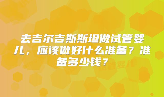 去吉尔吉斯斯坦做试管婴儿，应该做好什么准备？准备多少钱？