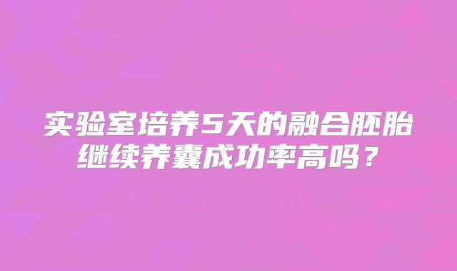 实验室培养5天的融合胚胎继续养囊成功率高吗?