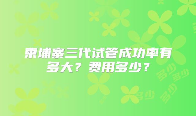 柬埔寨三代试管成功率有多大？费用多少？