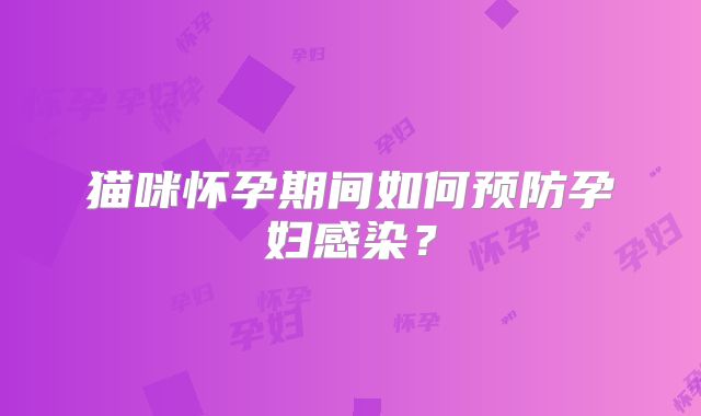 猫咪怀孕期间如何预防孕妇感染？