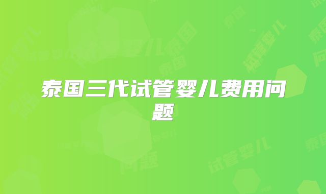 泰国三代试管婴儿费用问题