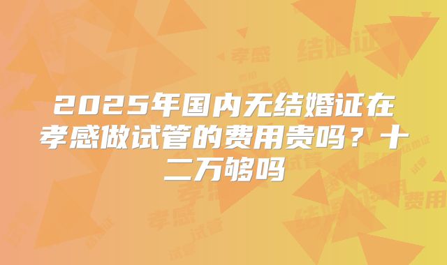 2025年国内无结婚证在孝感做试管的费用贵吗？十二万够吗