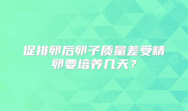 促排卵后卵子质量差受精卵要培养几天？