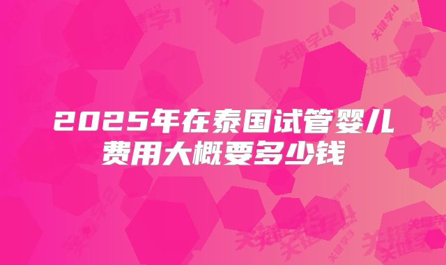 2025年在泰国试管婴儿费用大概要多少钱