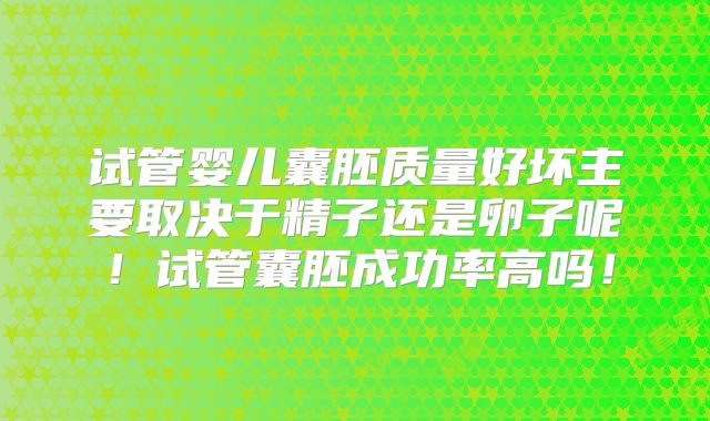 试管婴儿囊胚质量好坏主要取决于精子还是卵子呢!试管囊胚成功率高吗!