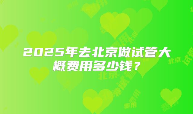 2025年去北京做试管大概费用多少钱？