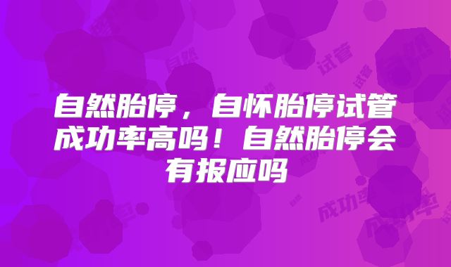 自然胎停，自怀胎停试管成功率高吗！自然胎停会有报应吗