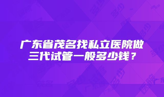 广东省茂名找私立医院做三代试管一般多少钱？