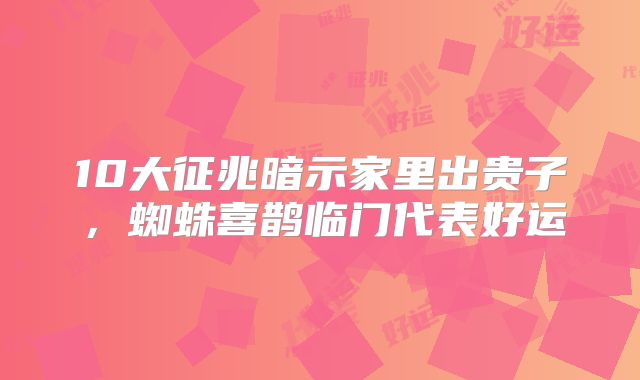 10大征兆暗示家里出贵子，蜘蛛喜鹊临门代表好运