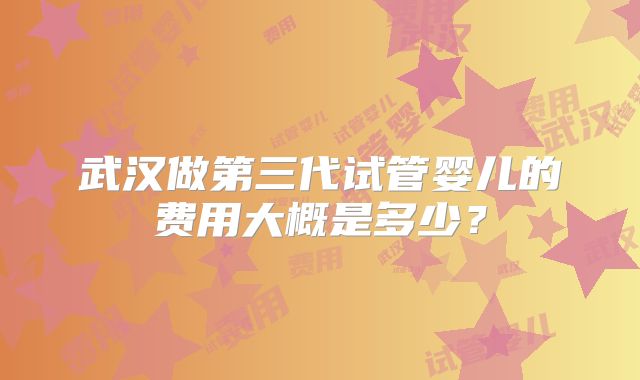 武汉做第三代试管婴儿的费用大概是多少？