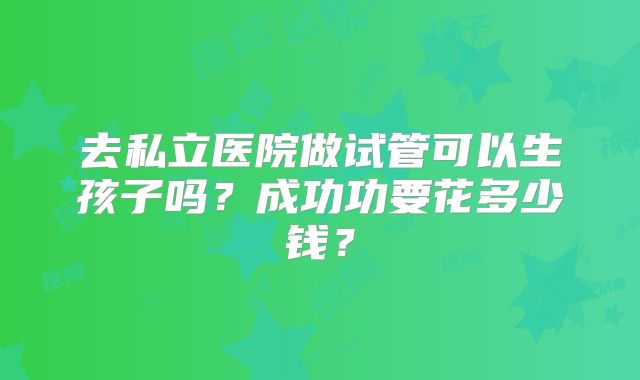 去私立医院做试管可以生孩子吗？成功功要花多少钱？