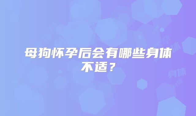 母狗怀孕后会有哪些身体不适?